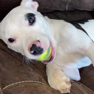 Meet your Posher, Keith